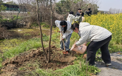 刘家隔中学：植树添绿正当时 劳动实践育新人
