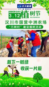 视频 | 春染中洲植新绿 共建家园正当时