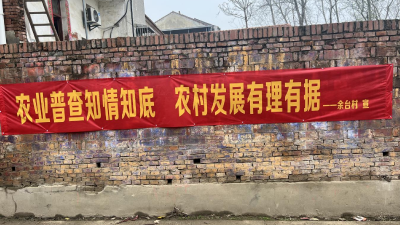 摸清“三农”家底！分水镇余台村农业普查入户忙