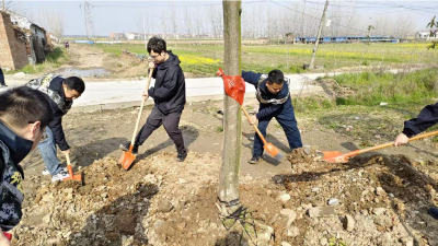 分水镇：植绿护绿添新景 同心共建美家园