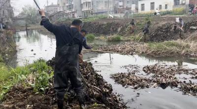 韩集乡沟渠大清理：9公里水道换新颜