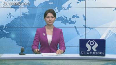 汉川新闻20260403