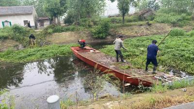 清“绿患”护碧水 韩集乡开展水葫芦水草清理行动