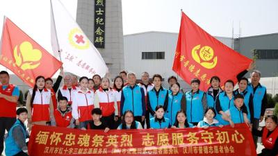 汉川三支志愿者团队开展清明祭扫烈士墓活动