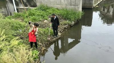 人居环境再提升 韩集乡河道“美颜”进行时
