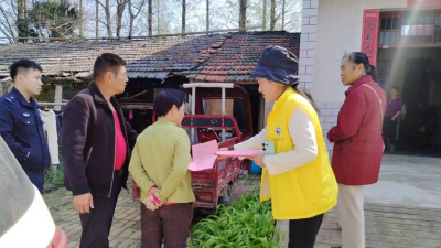 沉湖镇：多部门联动踏查罂粟 筑牢乡村禁毒防线