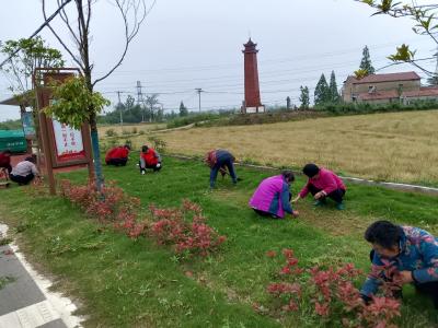 广场舞队变身“环卫先锋队” 人居环境整治添活力