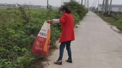 分水镇联合村开展环境清扫志愿服务活动