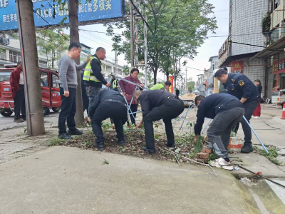 田二河镇开展镇区违建拆除专项行动