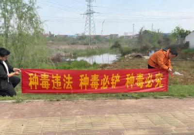 禁种铲毒进乡村 马口镇守护绿色无毒家园