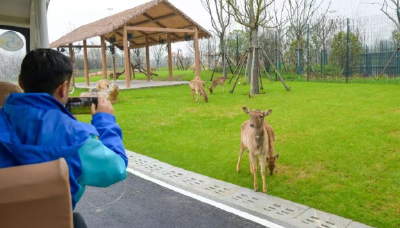 从“治理”到“治愈”——鄂州“精致城市”的跃升之路②