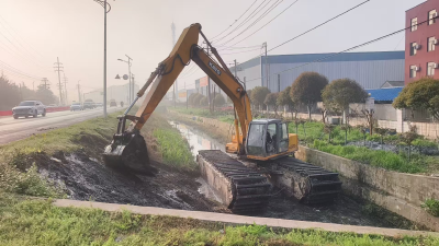 清岸洁水 共治家园！马口镇全面打响“千渠万沟”环境整治攻坚战