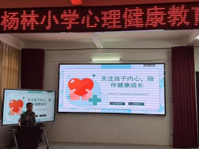 杨林小学：暖心护航，共筑心灵防线
