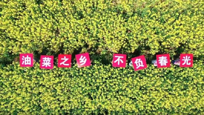 大处筑美、小处精雕 绘就人居环境新图景