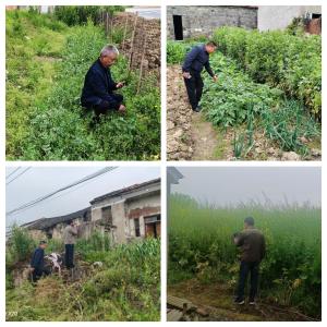 手机扫一扫，毒株无处藏——回龙镇村干部踏查“神器”上线 