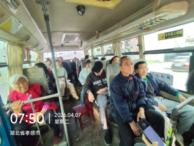 沉湖镇：暖心服务残障群众 扎实开展残疾证换证便民工作