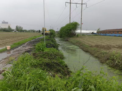 分水镇“清”尽全力！河道沟渠焕新颜