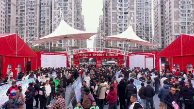 稳就业托牢民生底线 多举措赋能高质量发展