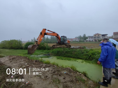 干群齐发力！先锋村“千渠万沟”行动扮靓乡村水环境