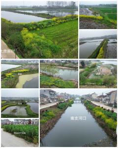 韩集乡：“空中扫毒” 筑牢安全防线