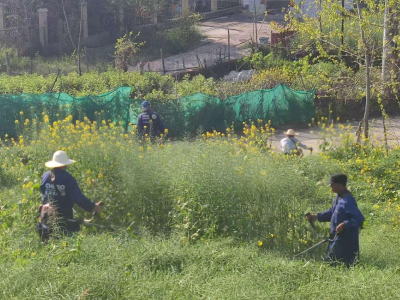 部门联动清隐患  护堤安澜保民生