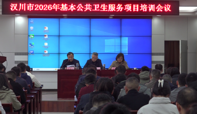 汉川市2026年基本公共卫生服务项目培训会召开