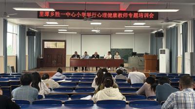 里潭乡胜一中心小学开展心理健康教育专题培训会