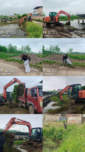 南河乡：凝聚治水合力 绘就水乡新景