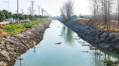 西江乡启动“千渠万沟”清洁行动，打造水清渠畅新画卷