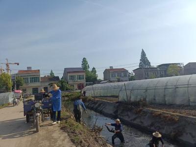 马鞍乡：清渠护岸绘新卷 生态宜居润民心