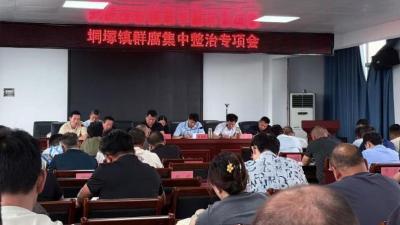 垌塚镇聚焦“三资”、惠民补贴，专项整治群腐问题