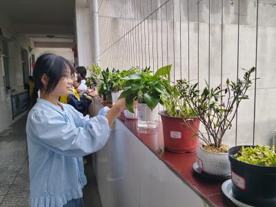 绿植润童心 劳动促成长
