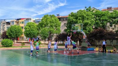 马口镇第五届“金马杯”小学生篮球赛圆满落幕