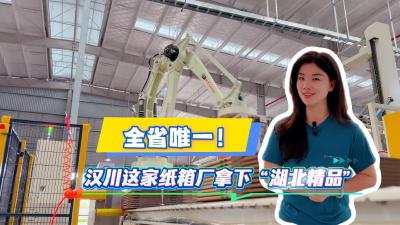 视频 | 【罗曼看强产】全省唯一！汉川这家纸箱厂拿下“湖北精品”