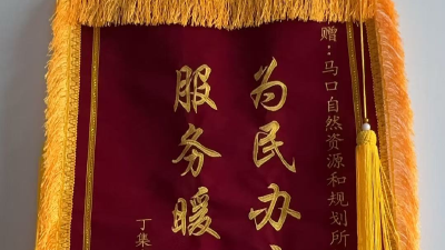 高效办实事！马口镇资规所优质服务获群众赠锦旗