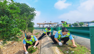 从边坡杂草到送考快车道：中洲收费站用“绣花功夫”守护考生赶考路