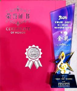 喜报！汉川快乐电声乐团斩获省级电吹管赛事一金一银 