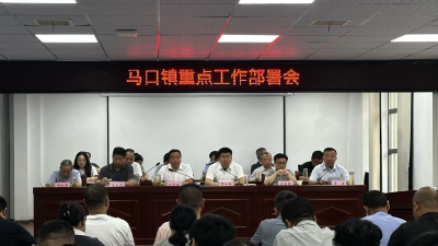 马口镇：实施“五大行动”  全面提升服务水平