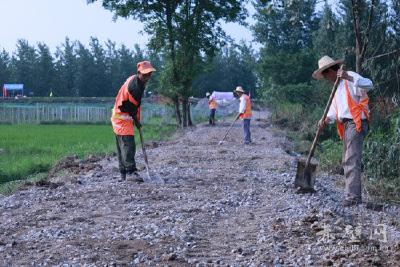 市公路局抢修四清垸大堤防汛公路