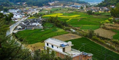 江西金源农业来赤壁考察洽谈有机农业开发合作