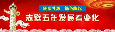 2016赤壁市第九次党代会