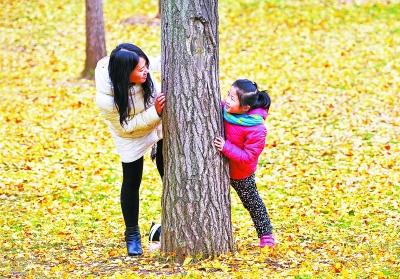 今起武汉连晴三天 双休不妨抓紧晾晒、出游