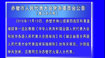 赤壁市人民代表大会常务委员会公告（第二十八号）