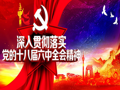 市委常委会传达学习党的十八届六中全会精神