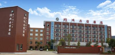 同济赤壁医院举行大型义诊惠及群众