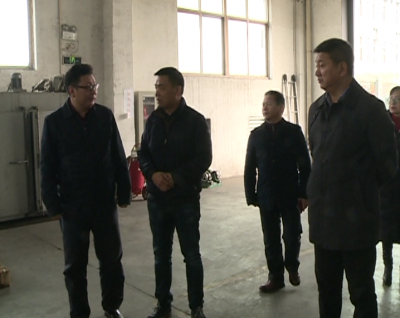 李朝曙调研企业节后复工复产情况