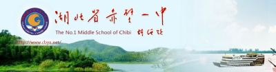 我市三所校网评为全省中小学优秀网站