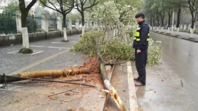 市城管办线上线下联动 优化城市环境