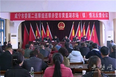 咸宁市委第二巡察组反馈黄盖湖农场巡察情况