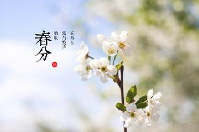今日春分丨春风十里，桃红柳绿